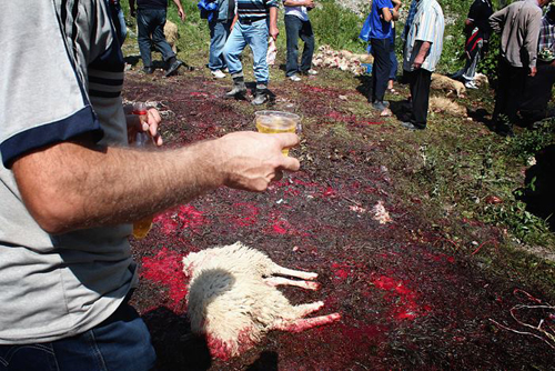 კადრზე შეჩერებული სისხლიანი ლომისობა და დედა სიდონიას გზა მონასტრისკენ Rating